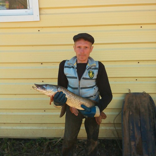 Пруд в урочище Шитики